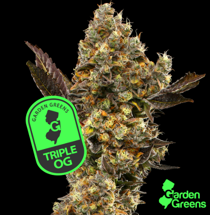 Photograph of product: Garden Greens | Trple OG - 7g