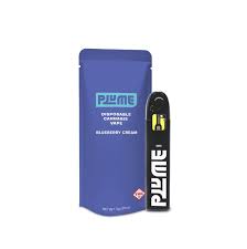 Photograph of product: Blueberry Cream - Disposable 2G