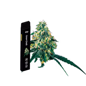 Photograph of product: Drip Vapes | Green Crack | 2g Disposable Vape