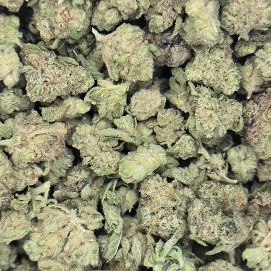 Photograph of product: Cap Junky Bbuds by SLO Mo