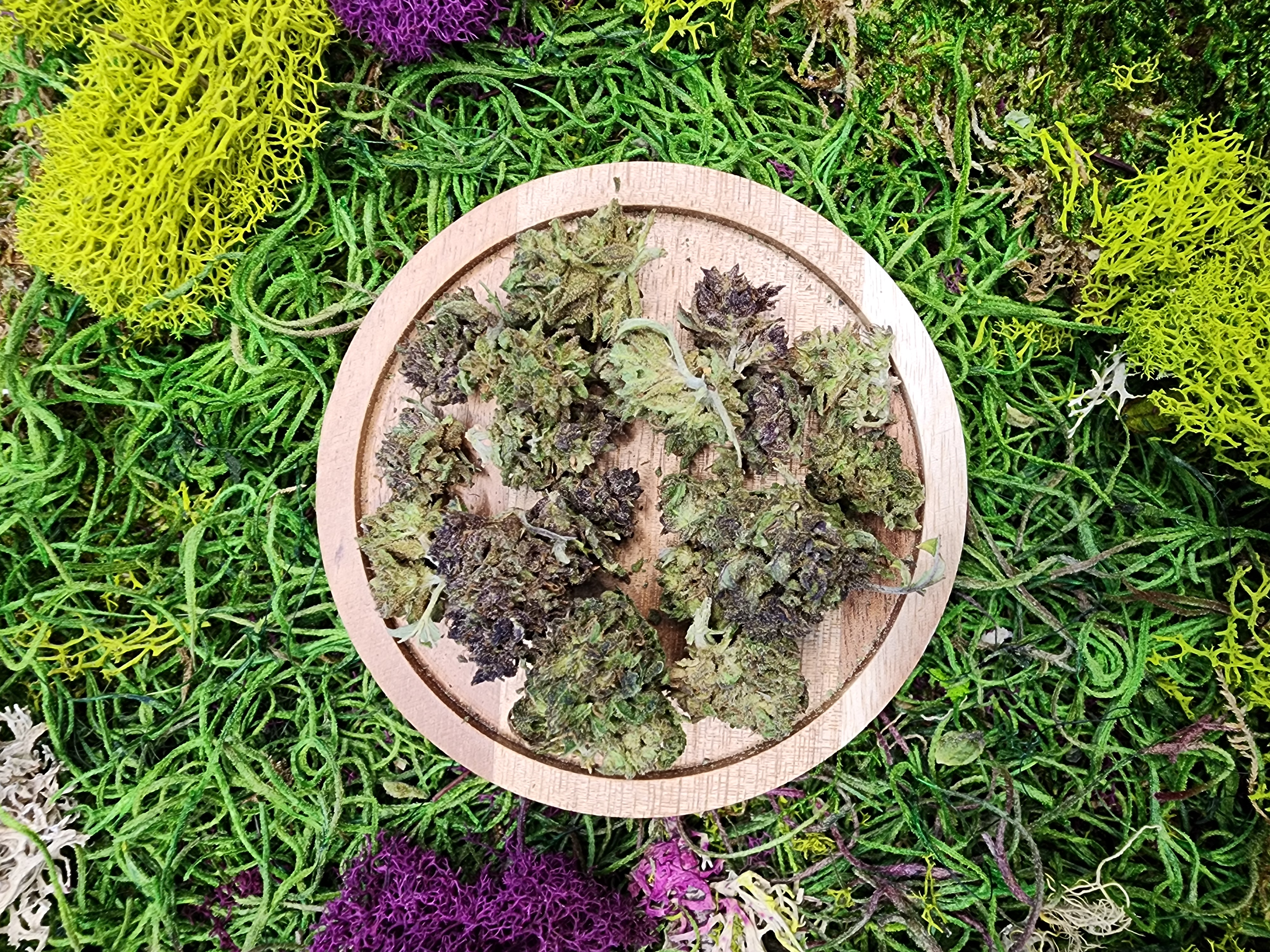 Photograph of product: 28G SQUIRT OZ SPECIAL