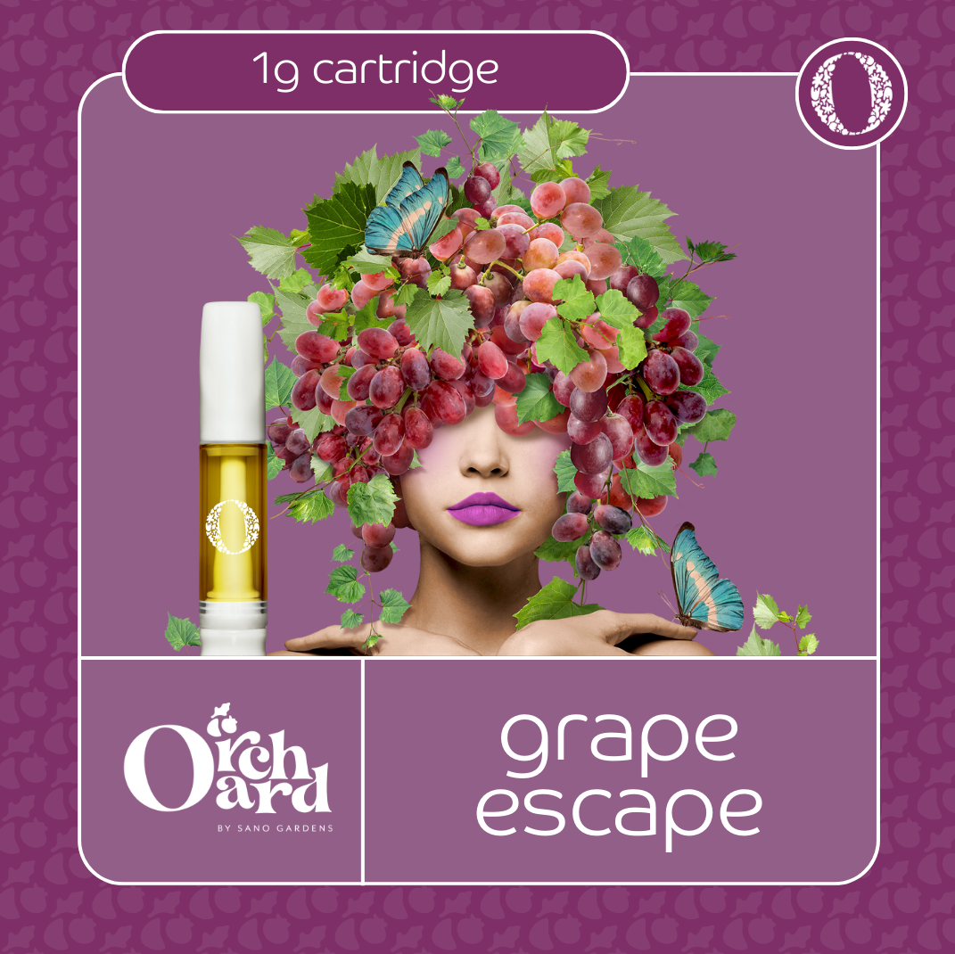 Photograph of product: Sano Gardens - Cartridge - Orchard - Grape Escape (H)