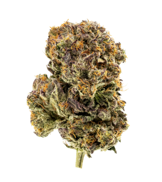 Photograph of product: Flower - Gelato Cake - 3.5g