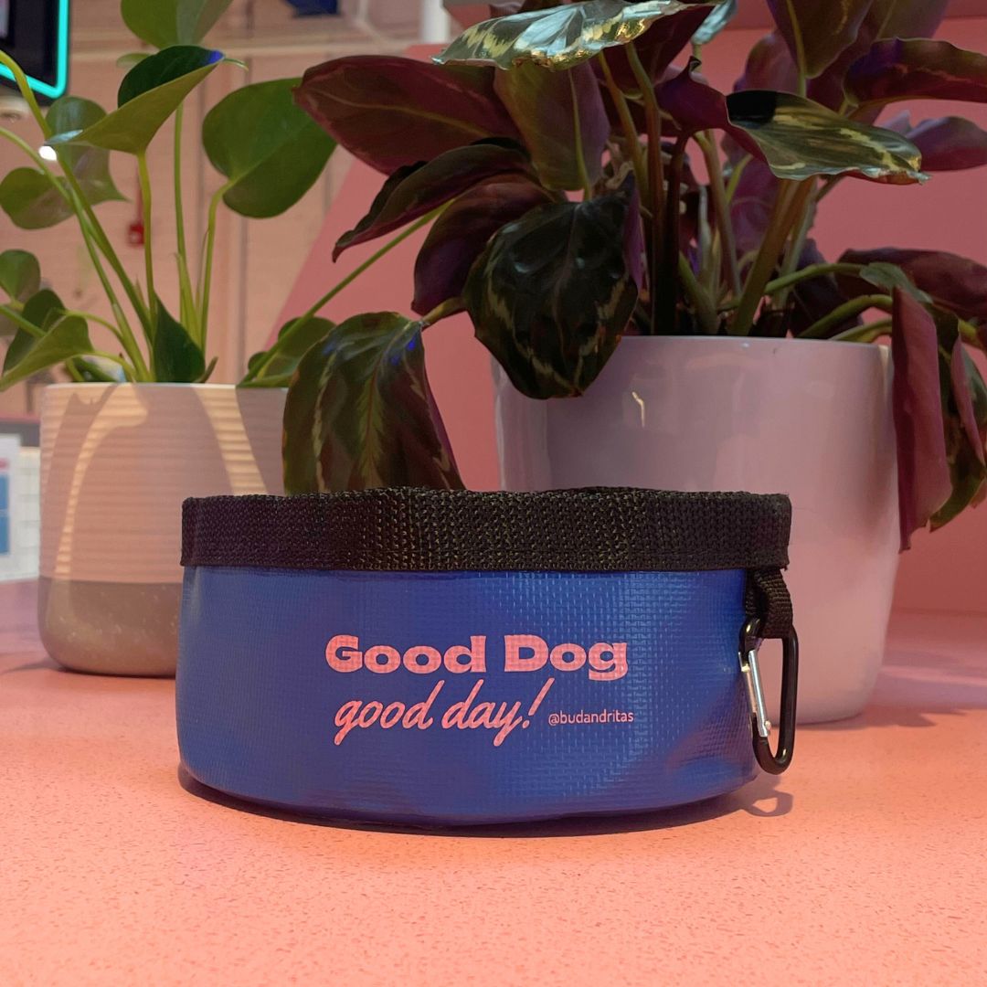 Photograph of product: Bud & Rita's Packable Dog Bowl