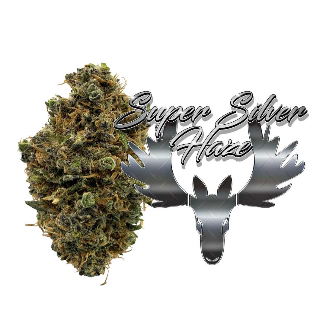 Photograph of product: Super Silver Haze (TAX INCLUDED) - 28g