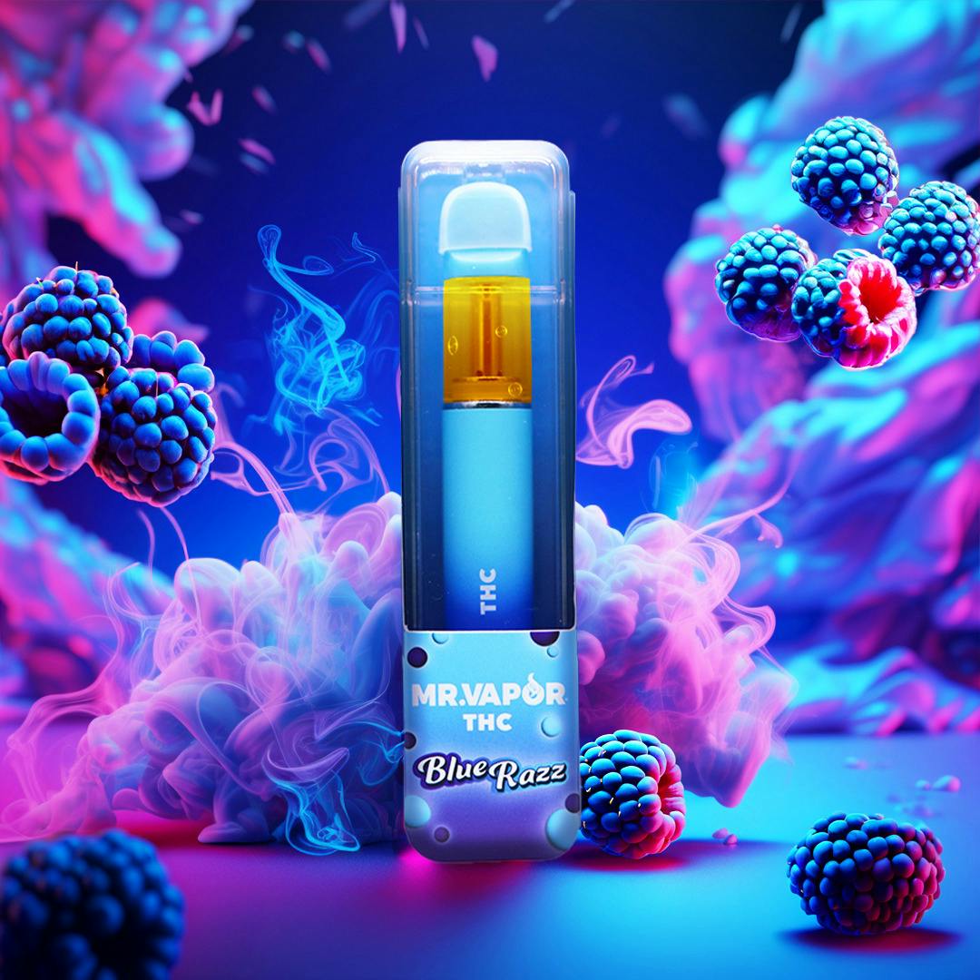 Photograph of product: Mr. Vapor | 1g | Disposable | Blue Raspberry