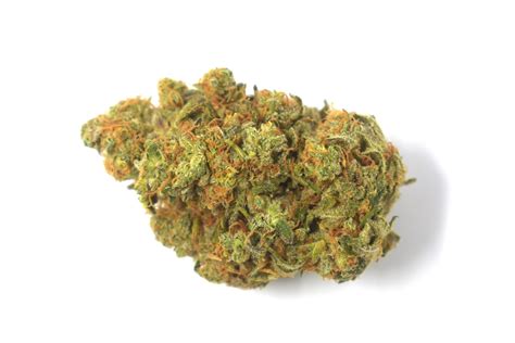 Photograph of product: Hammon Tree Growers Orange Cake Flower - 14g