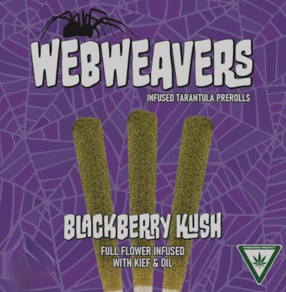 Photograph of product: AU Webweavers: Blackberry Kush 1G Tarantula