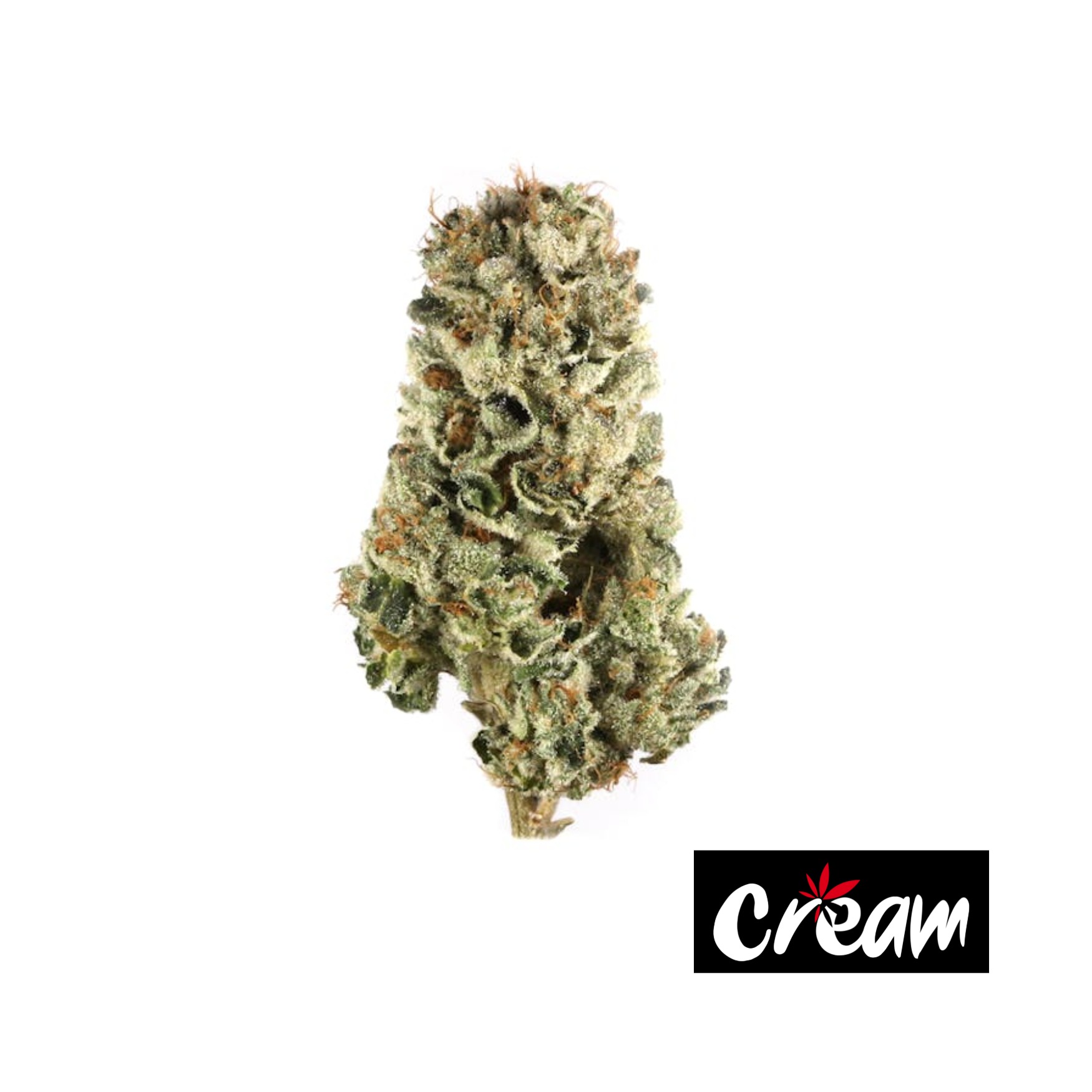 Photograph of product: Sour Zkittlez, Small Buds (Popcorn) - 14g