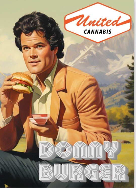 Photograph of Product: 1/2g CO2 AIO | Donny Burger