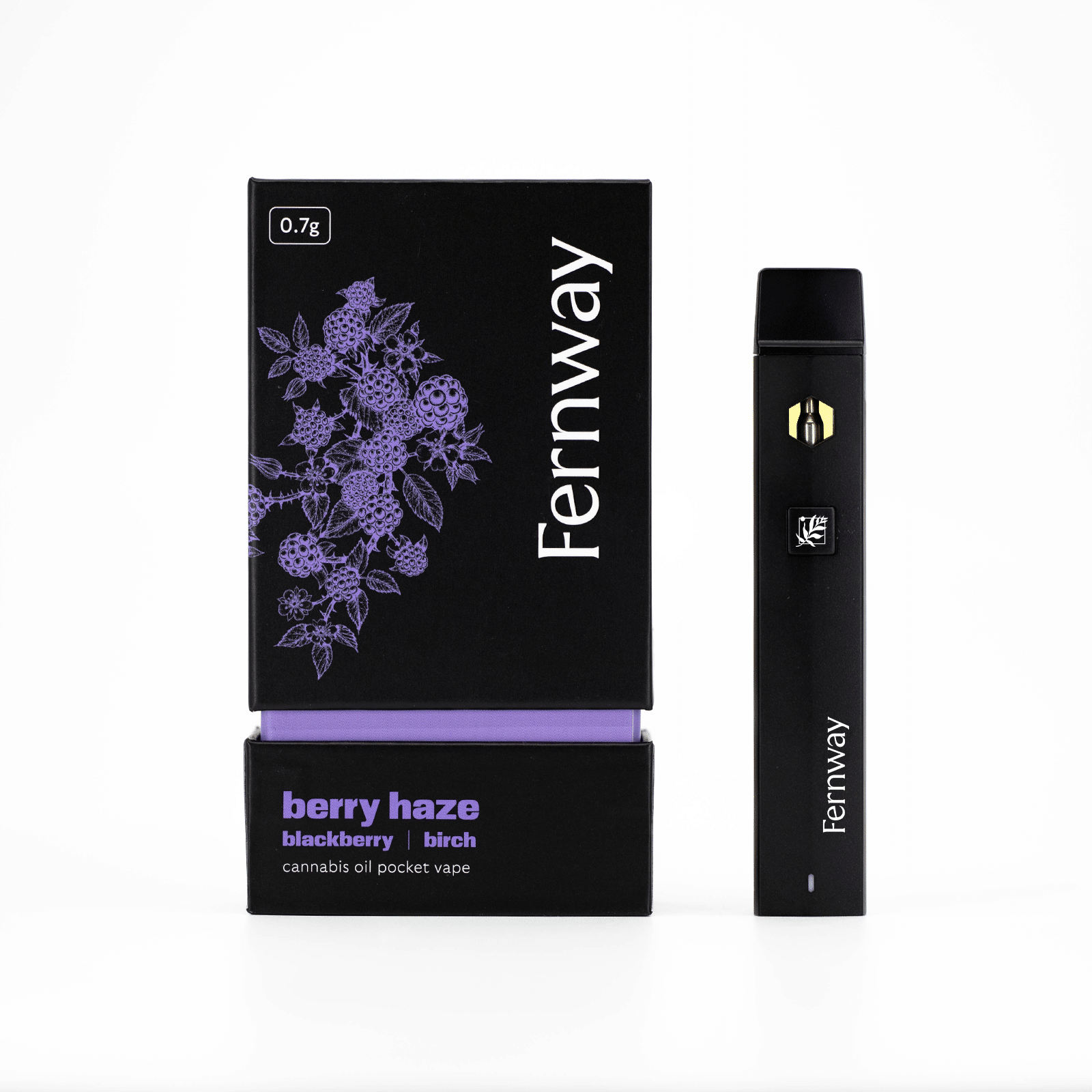 Photograph of product: FERNWAY - Berry Haze - 1G Disposable