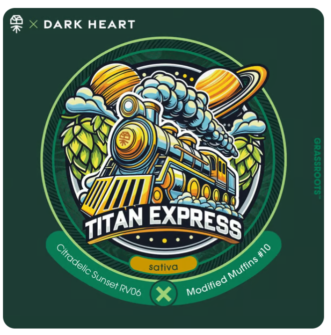 Photograph of product: Titan Express (3.5g)