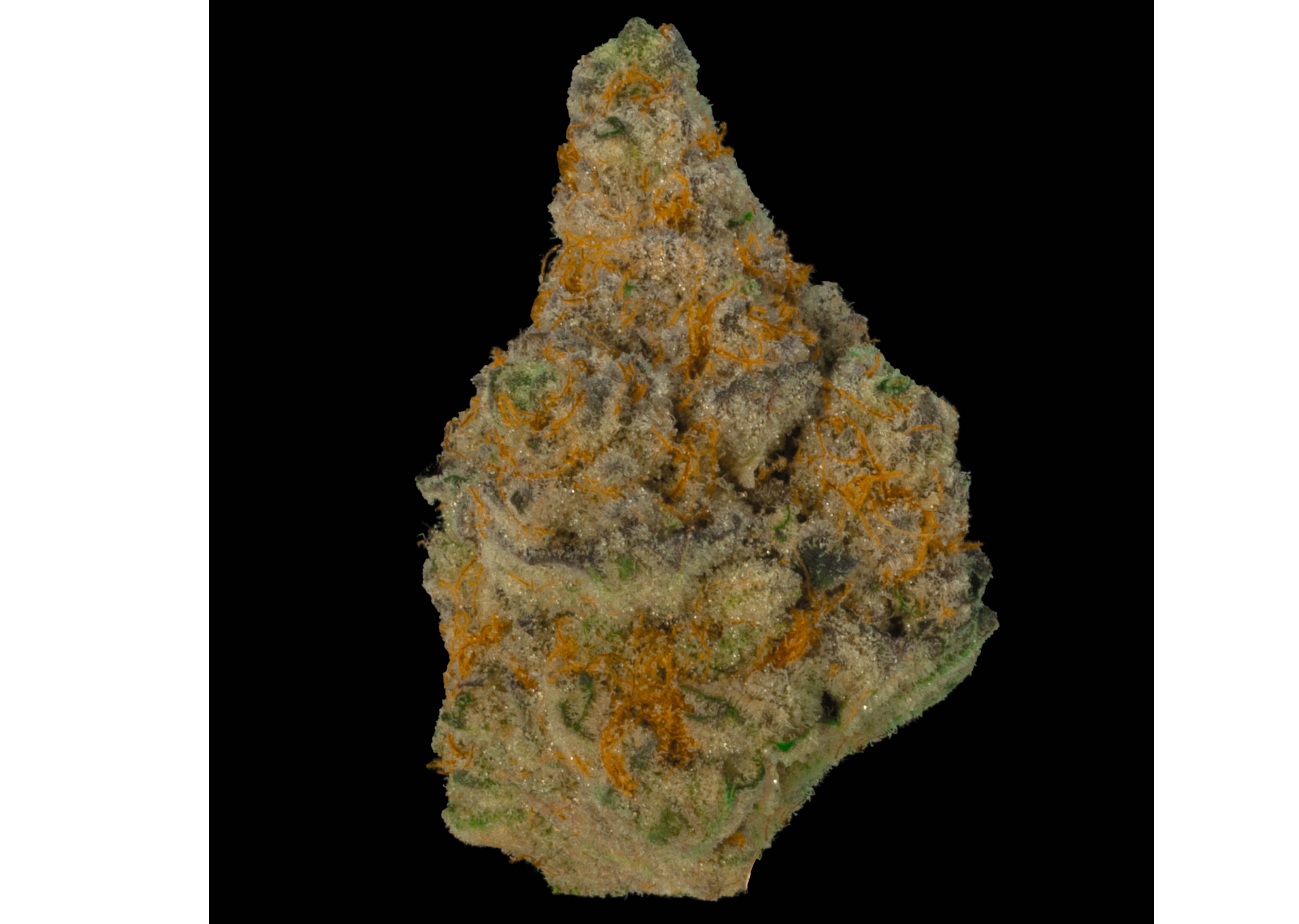 Photograph of product: Flower Tahoe Snow - 28g
