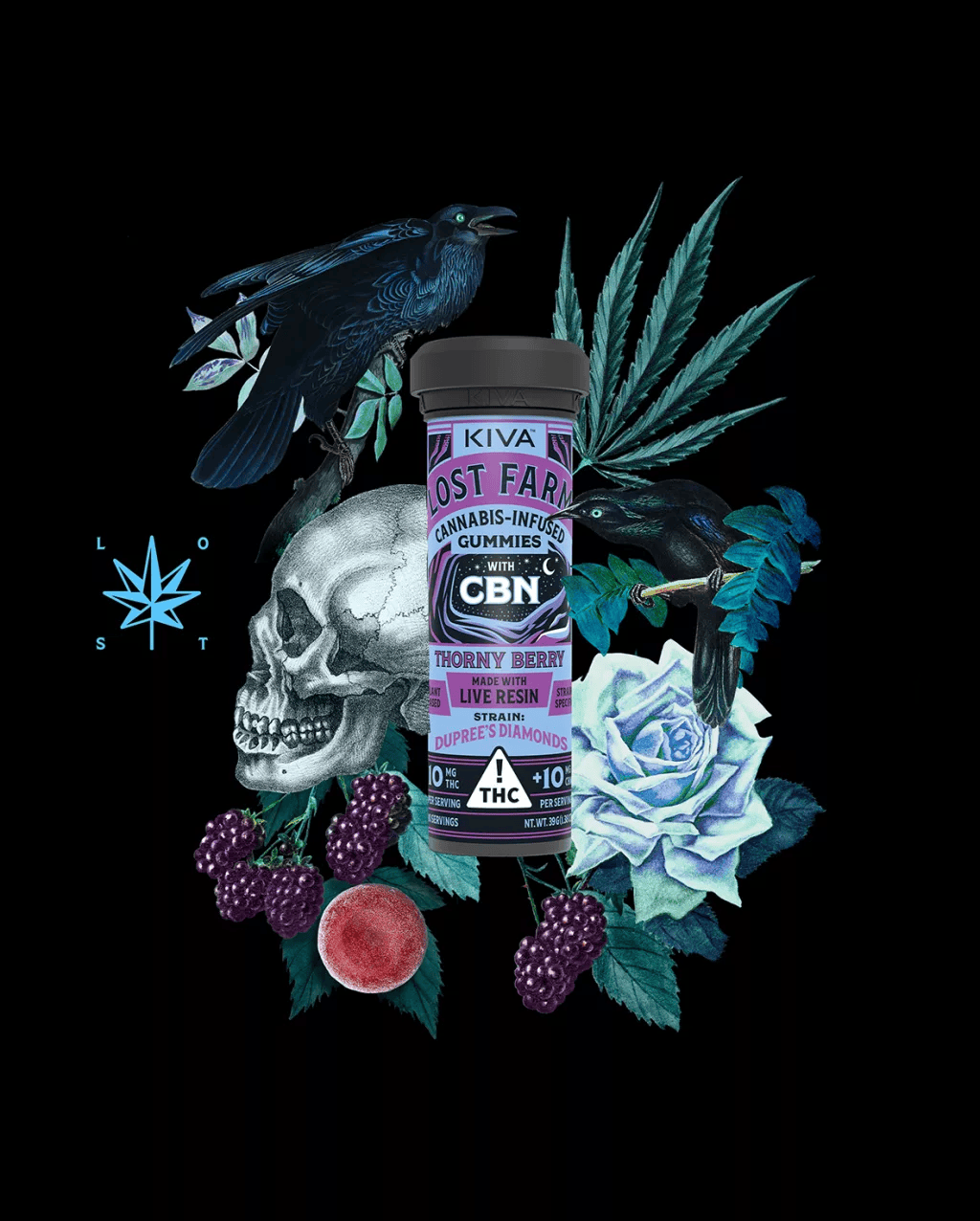 Photograph of product: Thornyberry 1:1 THC:CBN Live Resin Indica Gummies 10pk
