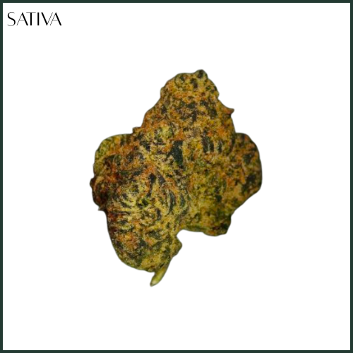 Photograph of product: Corner Store | Cup Of Joe | Flower - 3.5g