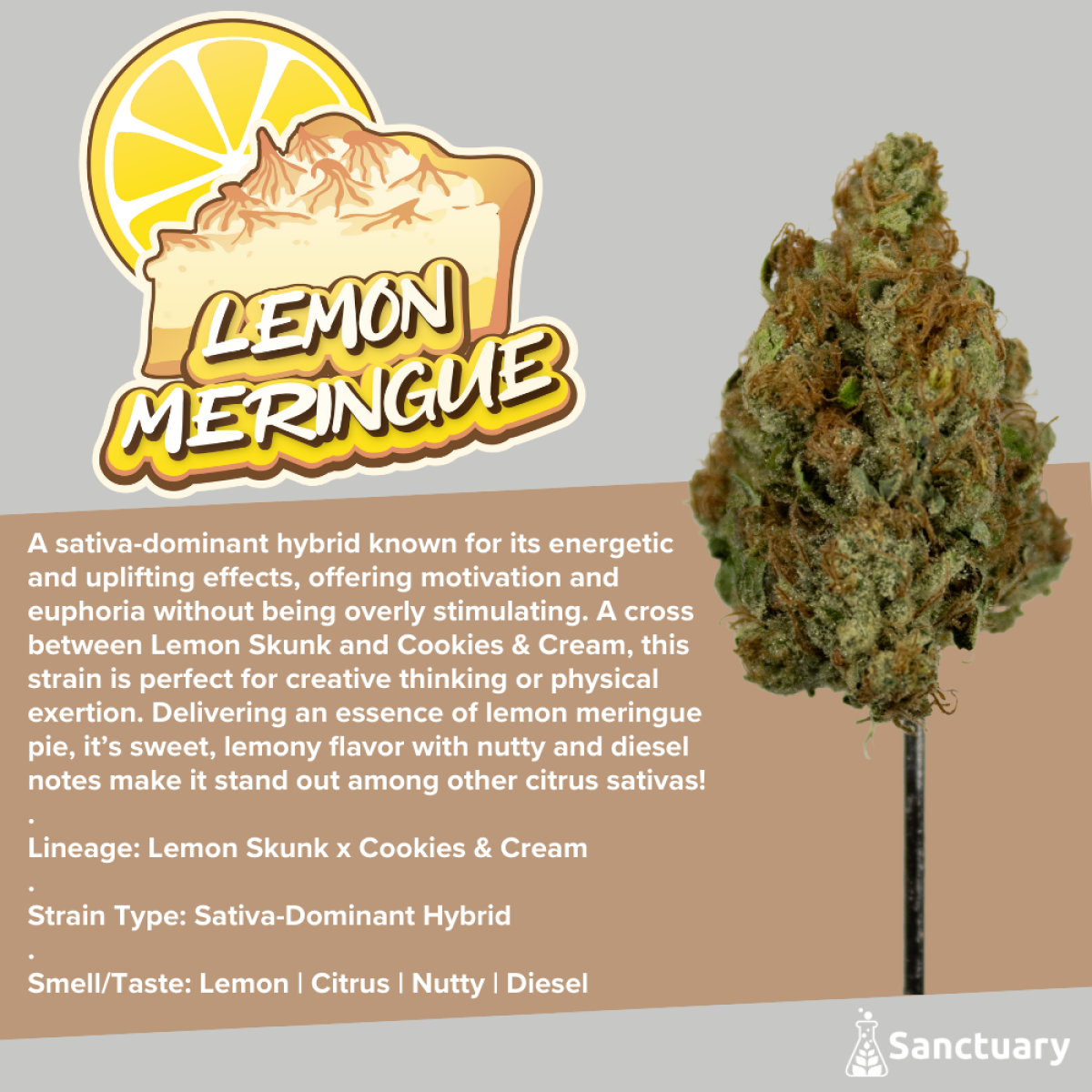 Photograph of product: Sanctuary - Lemon Meringue - Flower - 3.5g