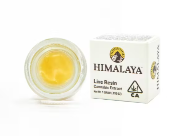 Photograph of product: PURPLE DREAM