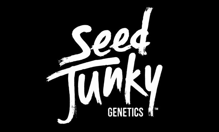 Photograph of product: Seed Junky - Thin Mints x Jealousy Pre Pack - 3.5g