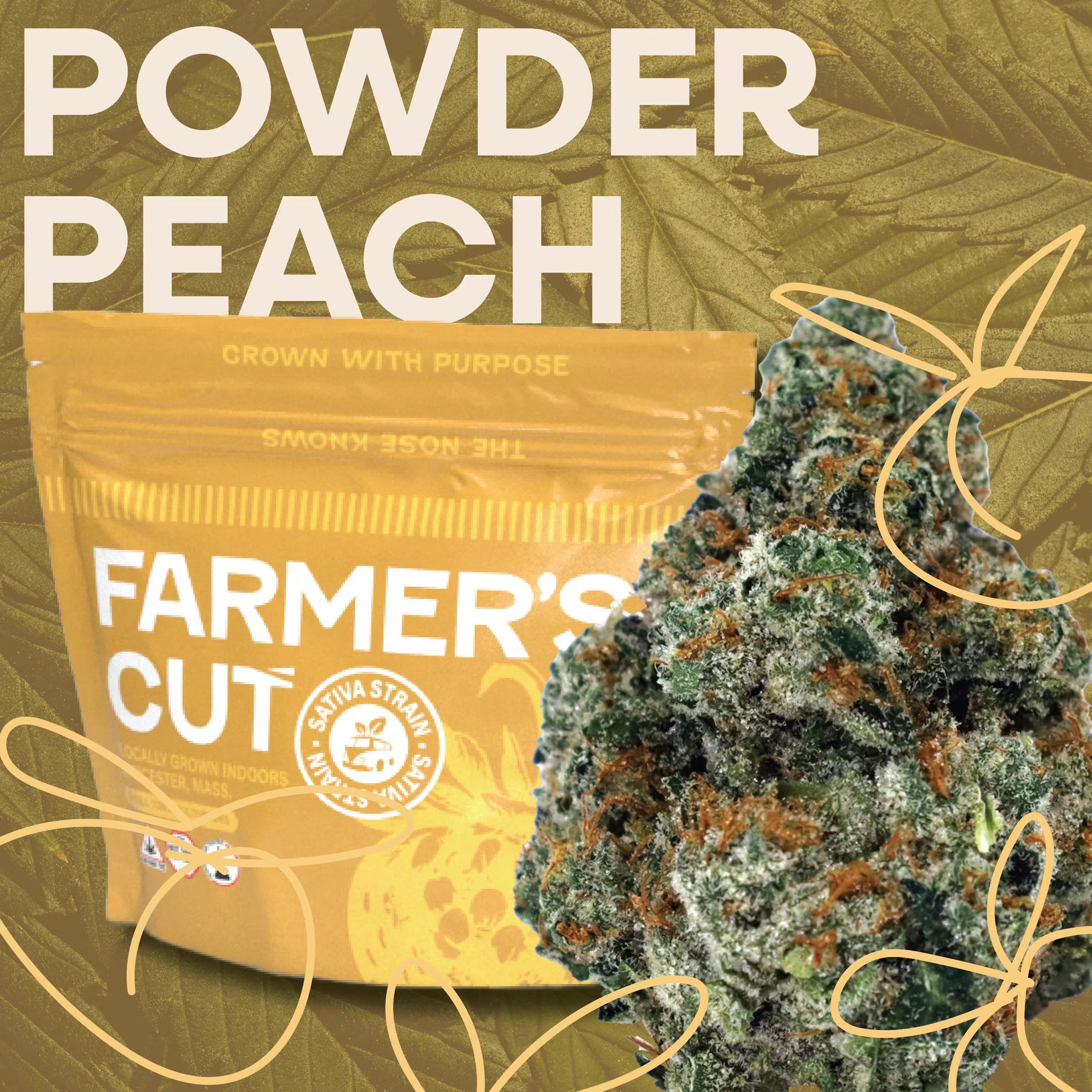 Photograph of product: Farmer's Cut Flower | 3.5g Flower | Powder Peach
