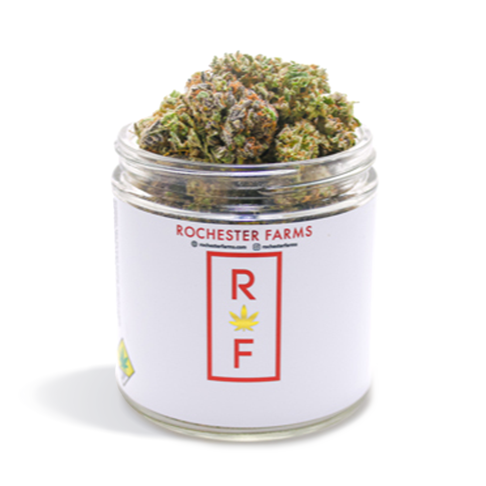 Photograph of product: Frankenstein - 1g
