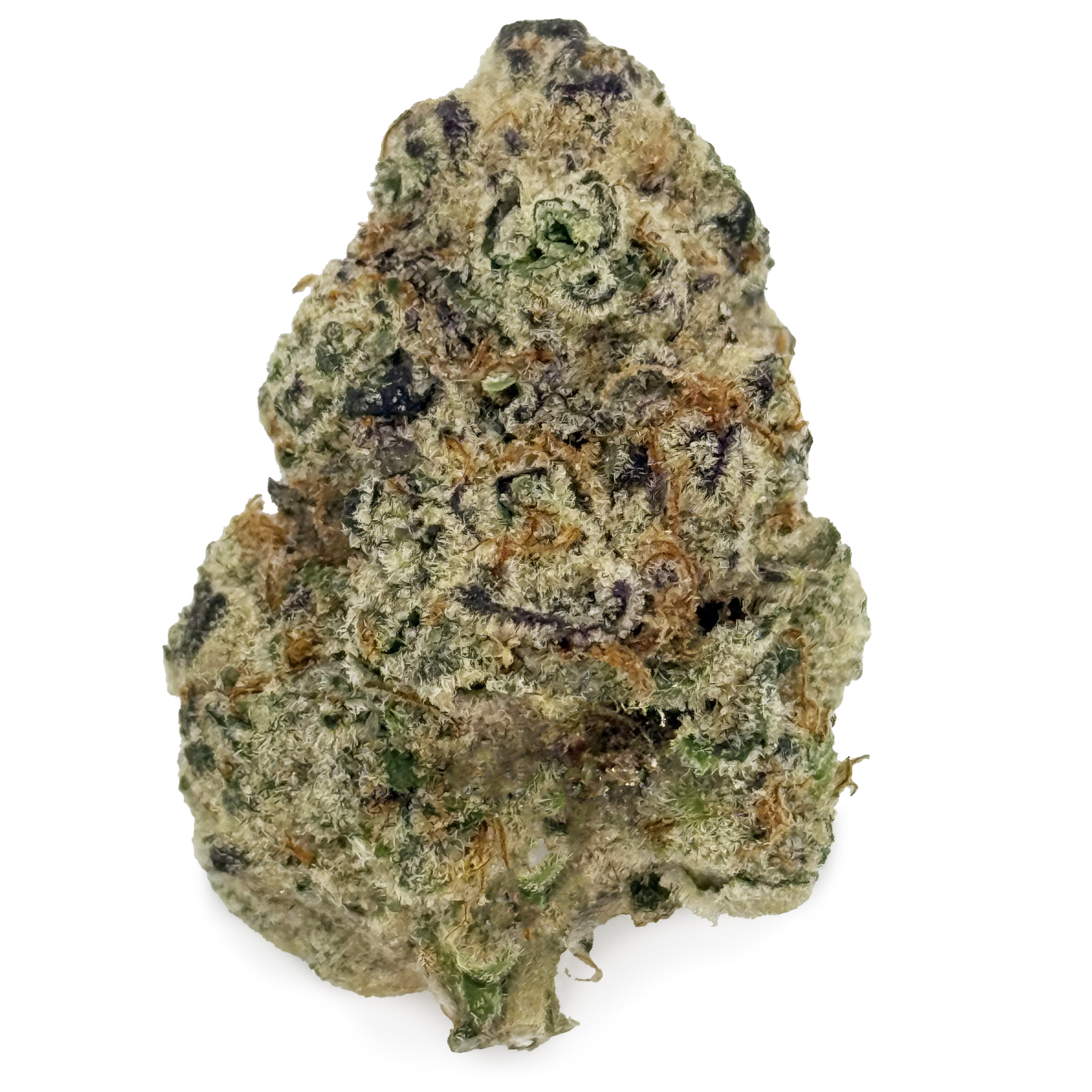 Photograph of product: Pro Gro GoGurtz Rec - 70g