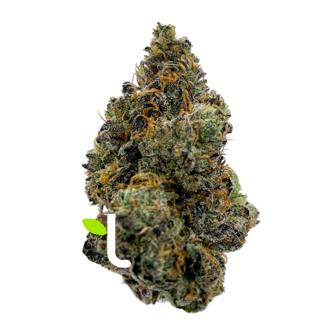 Photograph of product: Bow House | Platinum Lemon Cherry Gelato | Flower - 1g