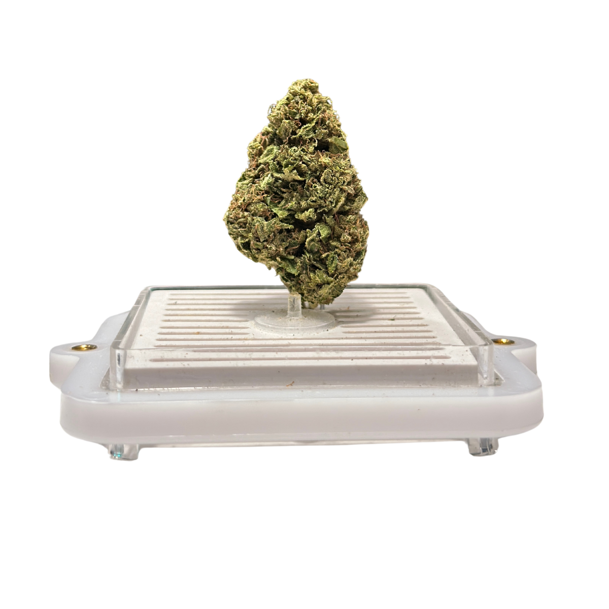 Photograph of Product: Island Mountain Headband | Flower Bar - 2g