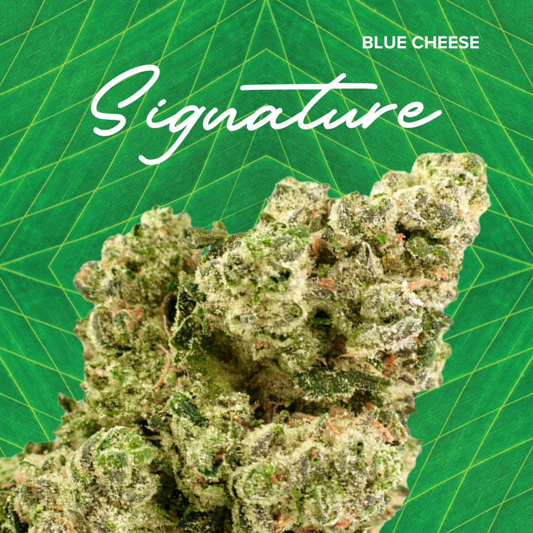 Photograph of product: Signature | Blue Cheese | 3.5g
