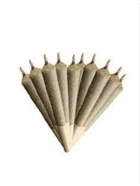 Photograph of product: BLUEBERRY GARY| INFUSED 5PK