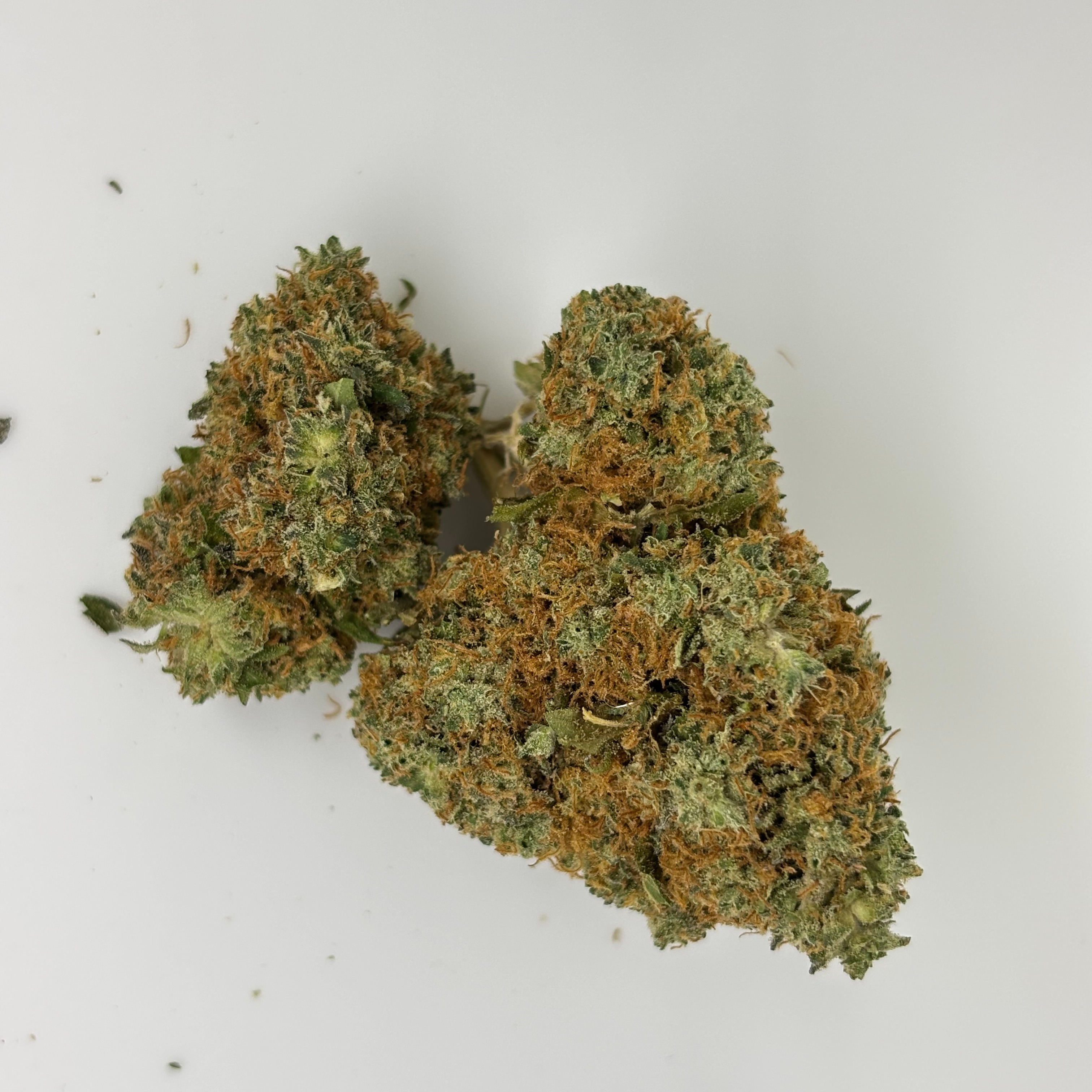 Photograph of product: Cupcake 1g Flower 19.64% TH-oui by ALASKAbuds