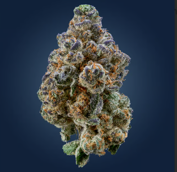 Photograph of product: SHARKSBREATH | 3.5G
