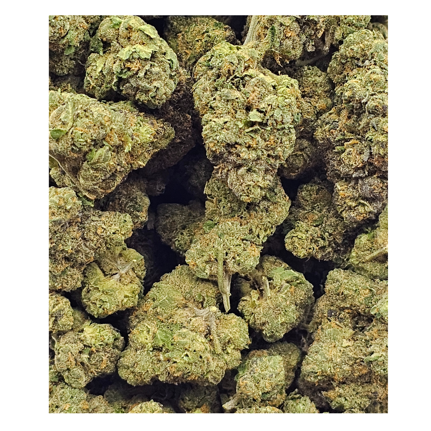 Photograph of product: Gas Tier Deli - Sharpiez - 1g