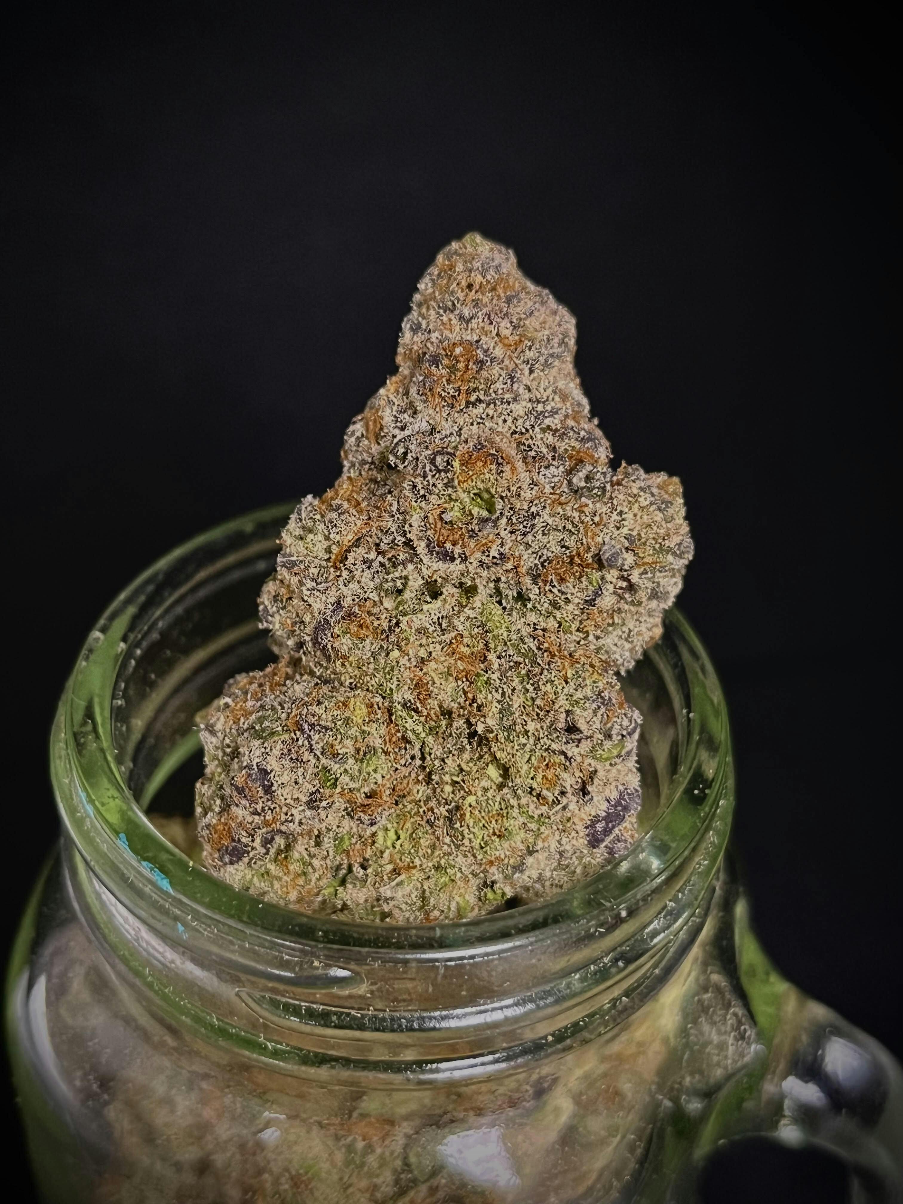 Photograph of product: Double Lemon Gucci 89 {Lem x Diesel Dog} (Locol Love) "CONNOISSEUR SHELF"