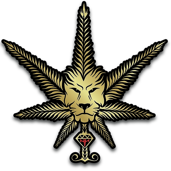 Photograph of product: Heavyweight Heads x Cookies Prepackaged Flower | Saint Tropez - 3.5g