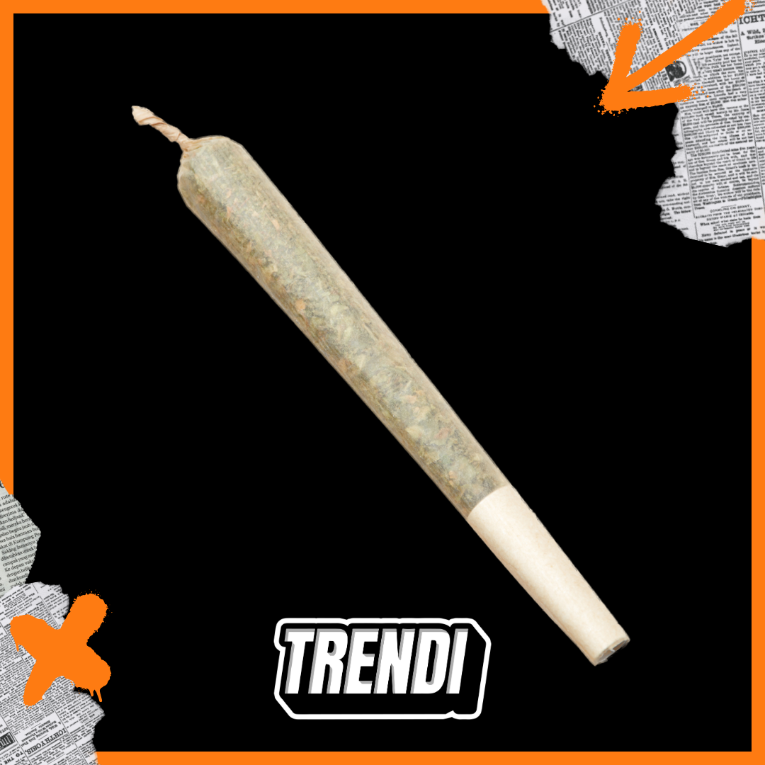 Photograph of product: Trendi Gary Poppins (H) Pre-Roll 1g