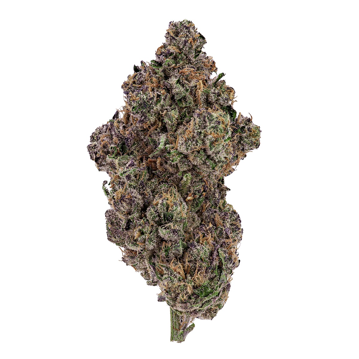 Photograph of product: Sherbanger - 28g