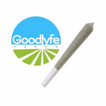 Photograph of product: Goodlyfe | 24k Gold Punch | 1g Infused Preroll