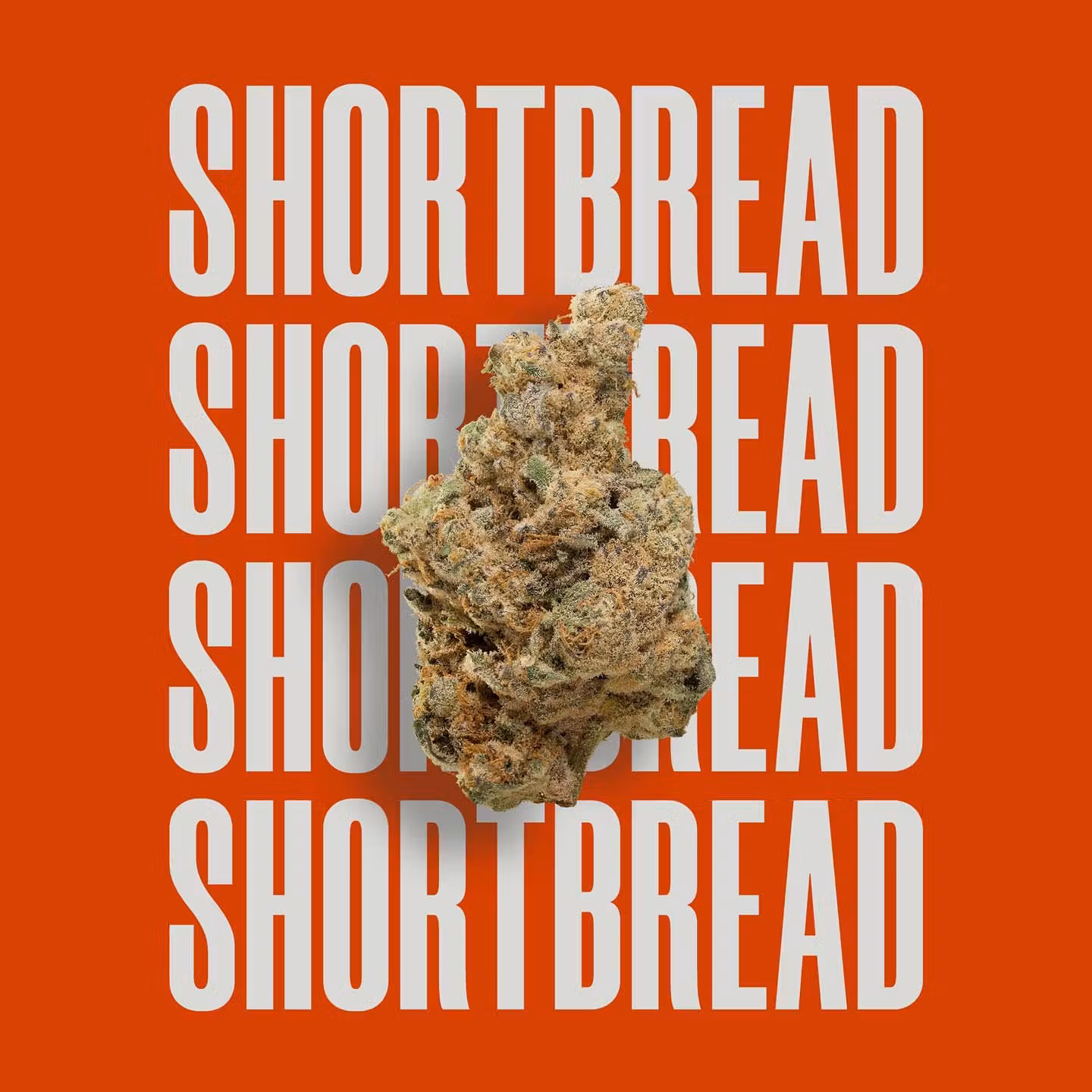 Photograph of product: High Supply Popcorn - Shortbread - 28g