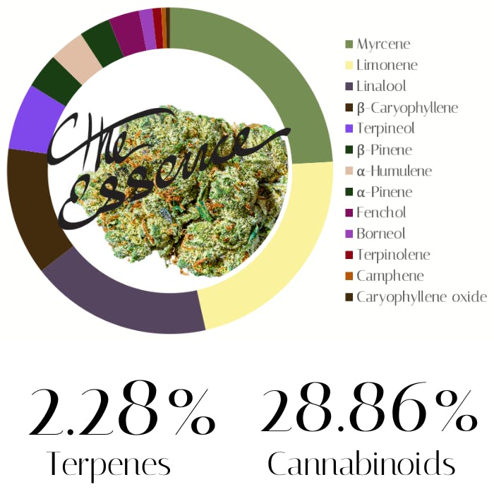 Photograph of product: PCG Runtz by The Essence | Pre-Rolls | 1.0g