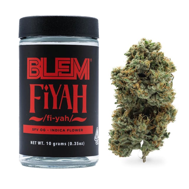 Photograph of Product: Fiyah | 10G Flower