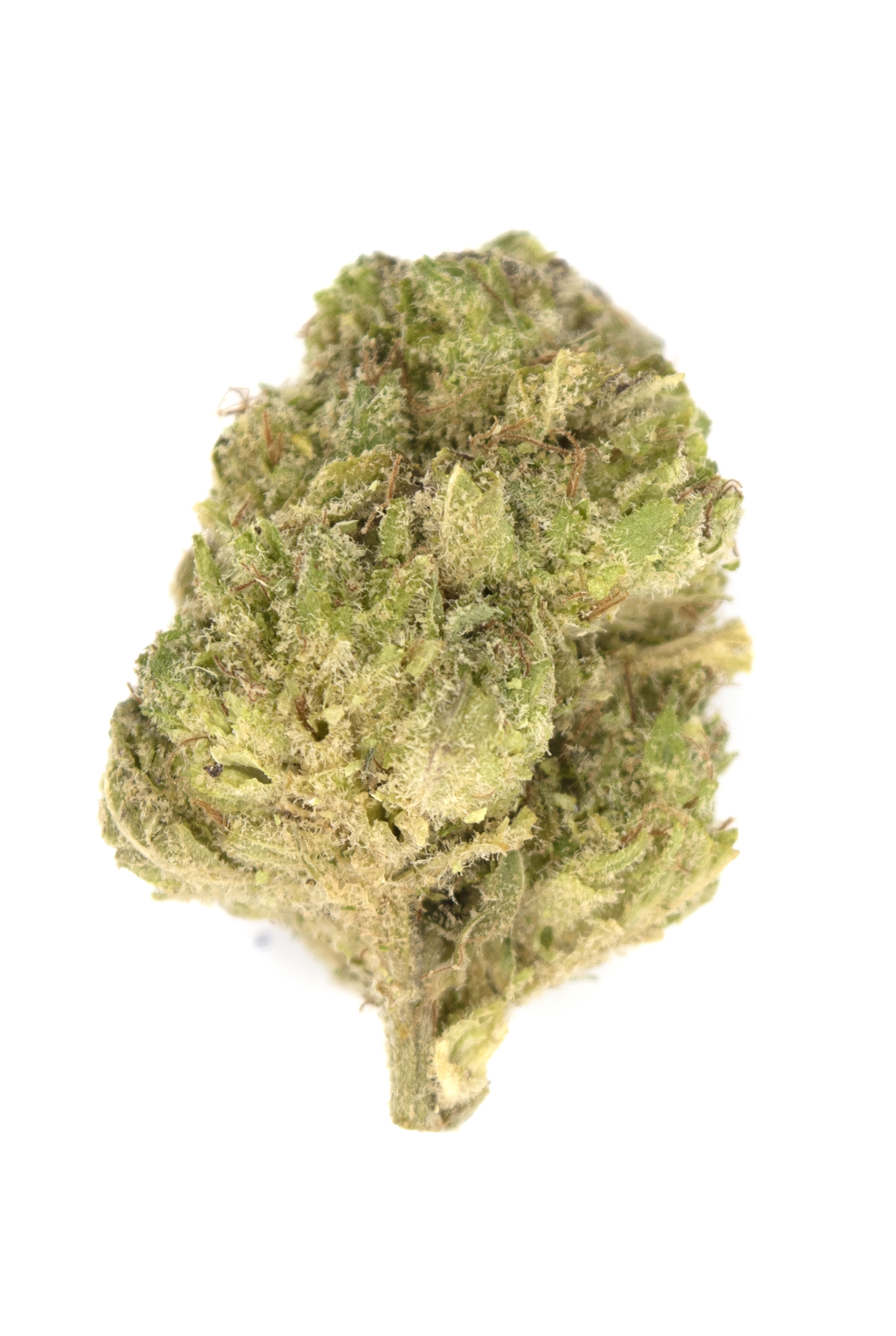 Photograph of product: Orange Zkittlez | Franklin Fields - 28g