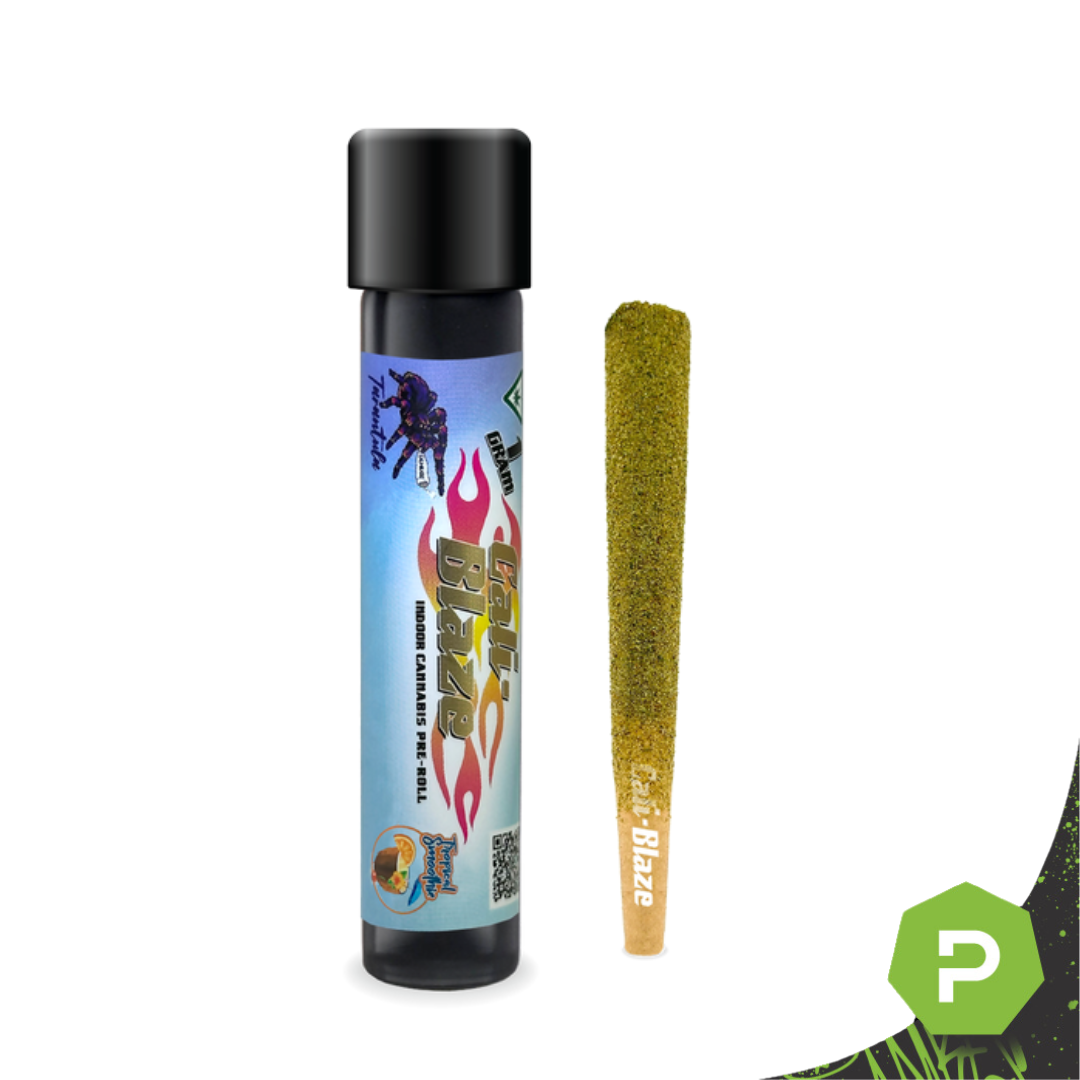 Photograph of product: Cali Blaze Tarantula Preroll | Tropical Smoothie
