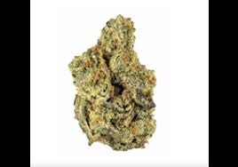 Photograph of product: Vanilla Sunshine Grandi Guava Flower - 14g