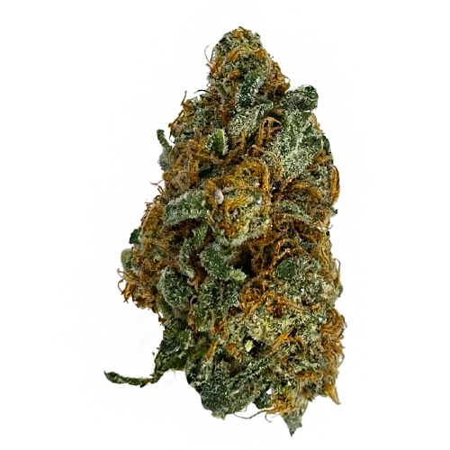Photograph of product: High Life Farms Papaya Colada Pre-Packed 3.5g