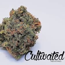 Photograph of product: Glitter Bomb - 14g