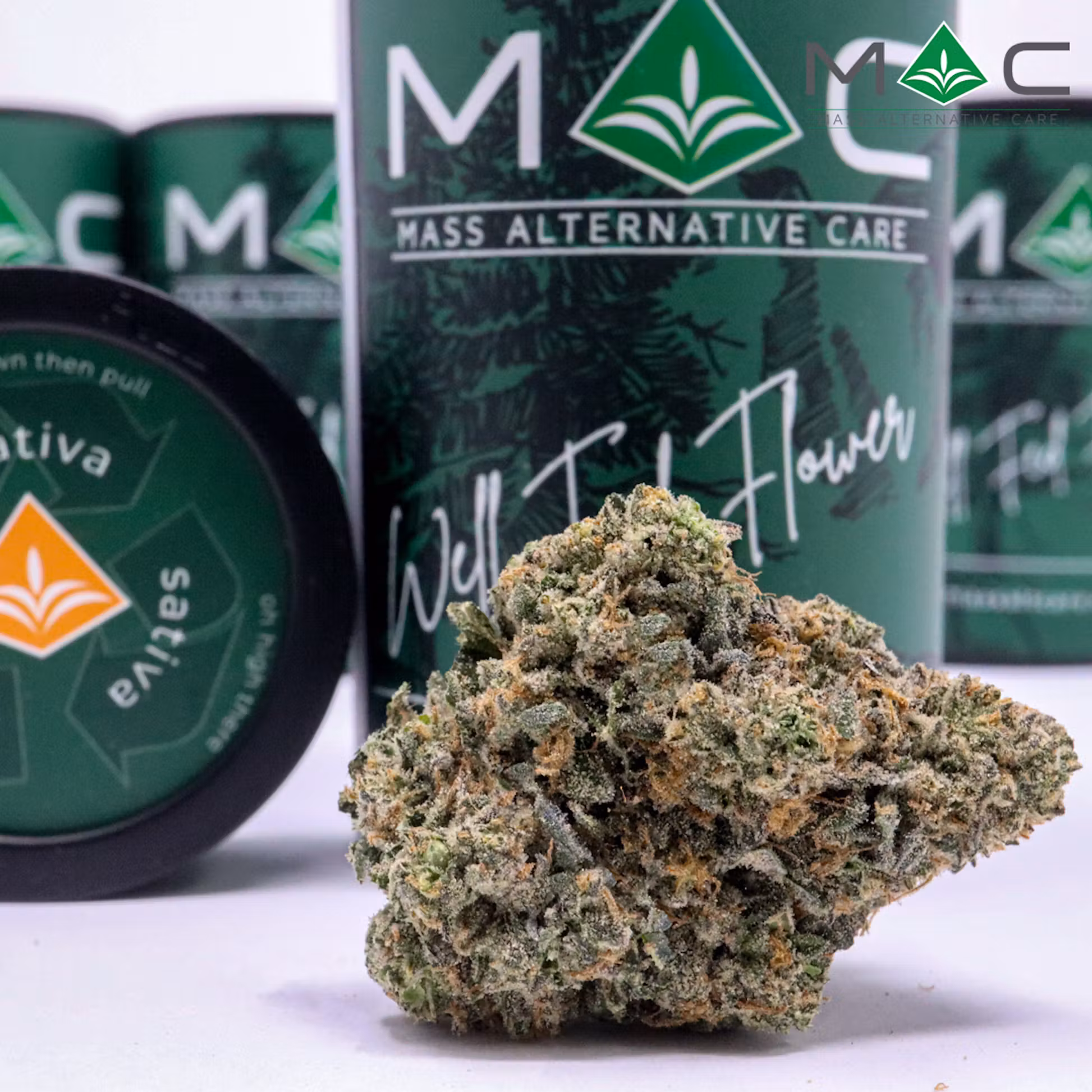 Photograph of product: Cartoons & Cereal (HS) Buds | MAC - 14g