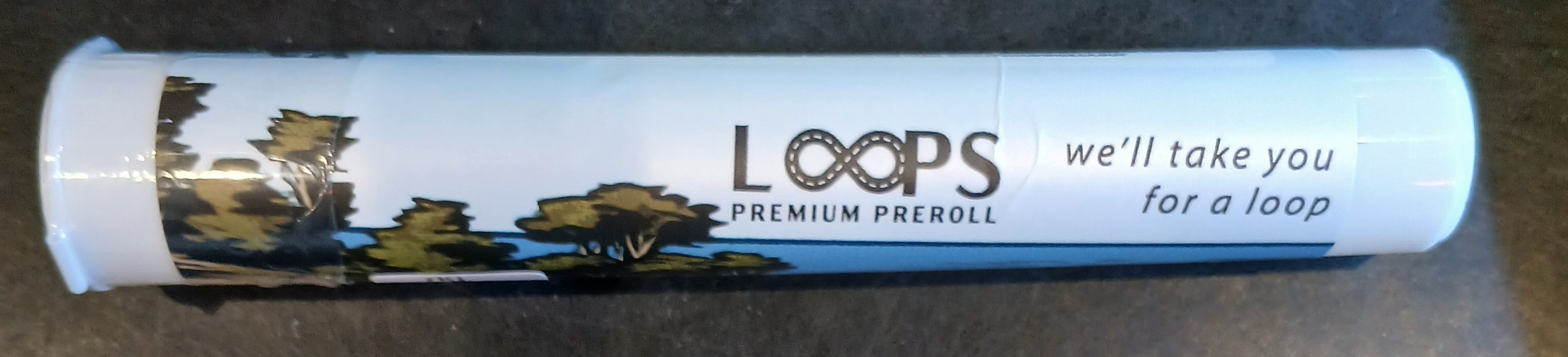 Photograph of product: The Fixer Loops