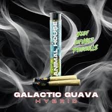 Photograph of product: Animal House l Galactic Guava l .75g Kief Infused Pre-Roll 2pk Hybrid
