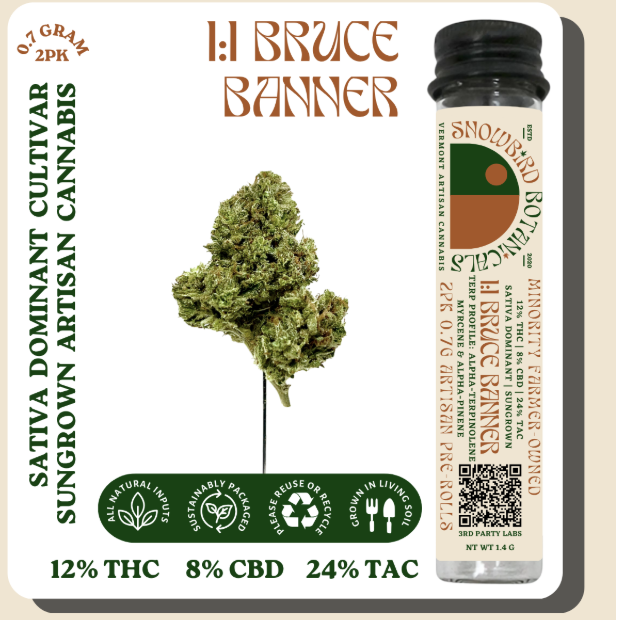 Photograph of product: 1:1 Bruce Banner