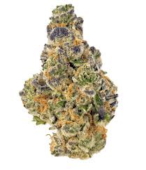Photograph of product: Flower of Life | Lemon Cherry Fire | Organic Bulk Flower - 14g